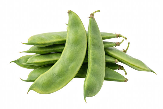 Fresh Green Hyacinth Beans Pile