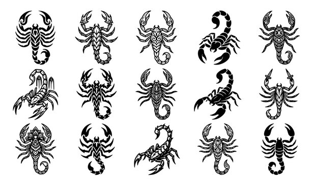Tribal scorpion tattoo design set with aggressive wild insect engraving style hand drawn vector animal illustration