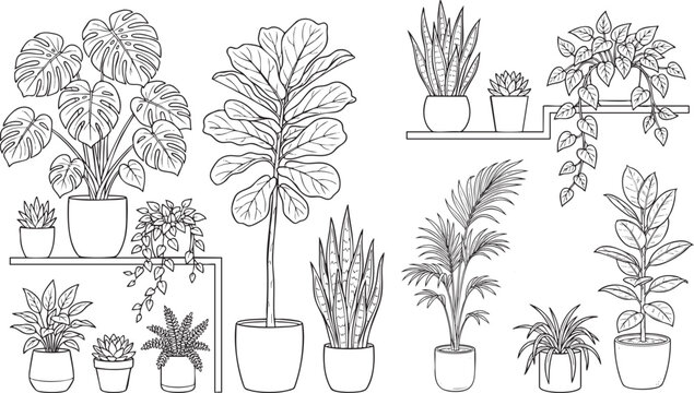 Minimalist indoor houseplants botanical illustration set, simple hand-drawn vector line art of monstera, snake plant, and potted greenery.