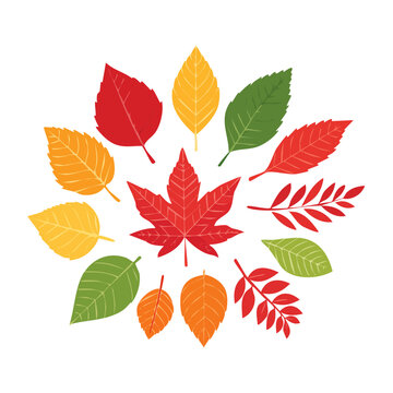 Autumn leaves in various colors arranged in a circle