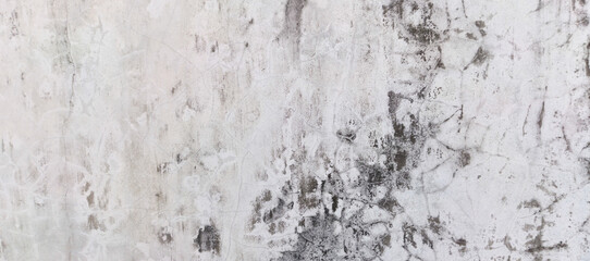 Fototapeta premium white wall texture