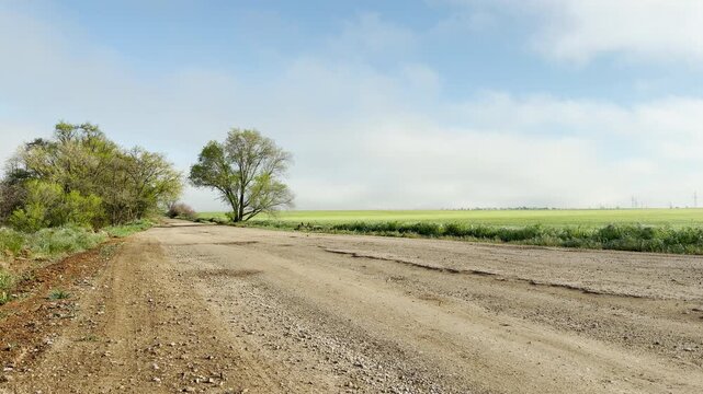 A worn dirt road leads past green trees toward a wide, foggy field. This quiet scene feels lonely yet peaceful. The vast horizon offers a sense of freedom and calm on a bright day.