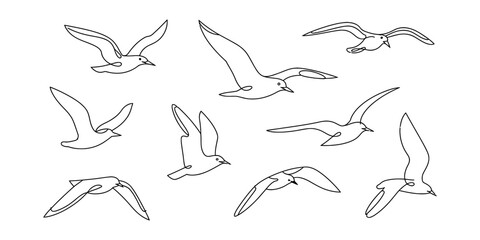 Obraz premium Set of flying seagulls drawn in a continuous line art style showing birds in various poses and flight patterns for simple minimal creative design projects Vector, illustration