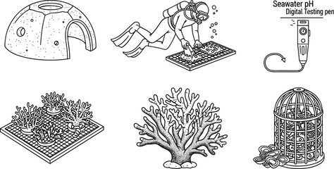 Marine Biology Coral Reef Restoration Icon Set with Scuba Diver Planting Nursery Grid Reef Ball Seawater pH Digital Testing Pen and Branching Coral Outline Vectors © monoara