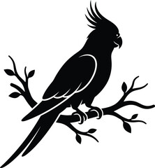 Cockatoo bird silhouette perched on a branch with cockatoo silhouette wildlife © sayda