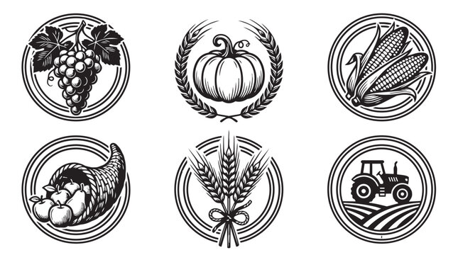Set of agricultural and farming icons with harvest symbols and tractor agriculture cornucopia