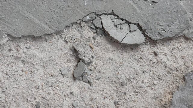 fragments from cracks in the cement floor