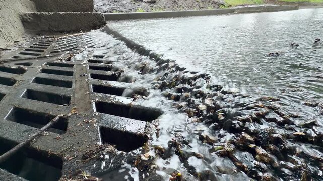 Rainwater flows rapidly through the metal grate. The rushing water creates a loud gurgling and splashing sound.