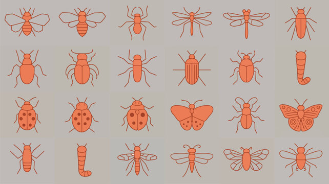 Entolomology icon collection flat line design on grey background