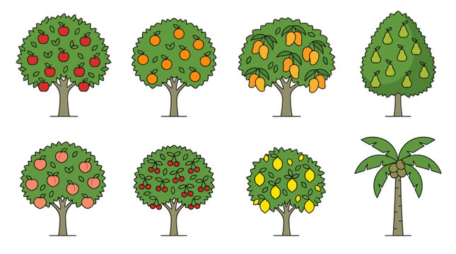 Set of various fruit trees with names illustration