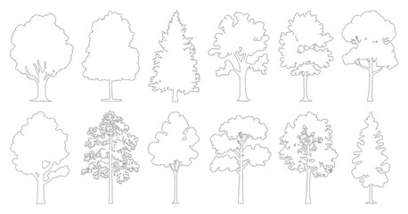 CAD tree line drawing set, minimal style mixed tall conifer and deciduous trees, side view outline symbols for landscape architecture forest section vector illustration. © Ayat 03