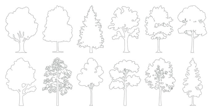 CAD tree line drawing set, minimal style mixed tall conifer and deciduous trees, side view outline symbols for landscape architecture forest section vector illustration.