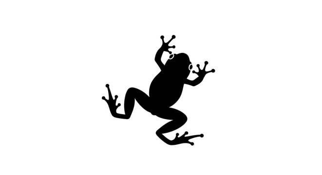 Black silhouette of a frog with splayed limbs, viewed from above, against a plain white background.