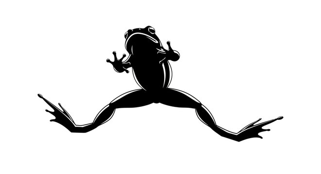 Black silhouette of a frog captured mid-leap on a clean white background, showcasing its dynamic movement.