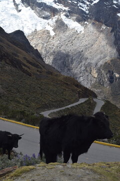 Huascar&aacute;n (ou Nevado Huascar&aacute;n) &eacute; a montanha mais alta do Peru e de toda a zona tropical do mundo, al&eacute;m de ser o quinto ponto mais alto da Am&eacute;rica do Sul.Aqui est&atilde;o os principais fatos e curiosidades 