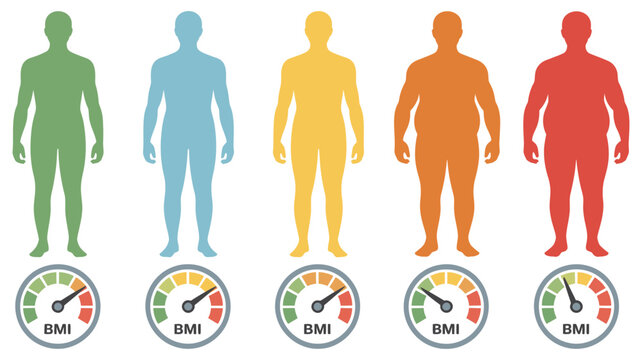 BMI infographic human body mass index scale, colored silhouette chart, health measurement indicator, modern vector illustration design...