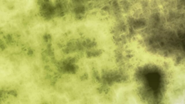 Microscopic view of biological tissue sample under magnification