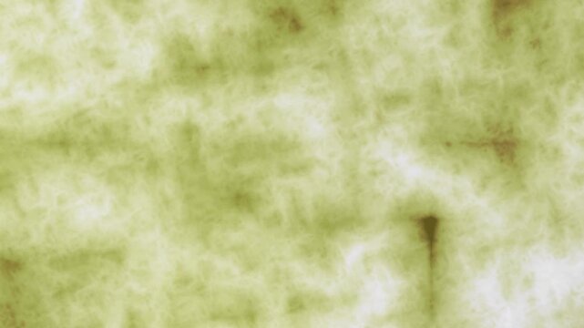 Closeup view of textured greenish surface with dark spots