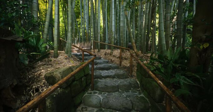 Stone Slab Gravel Path Through Dense Bamboo Grove In Japan