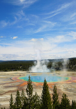 View overlooking the Grand Prismatic Spring in Yellowstone National Park