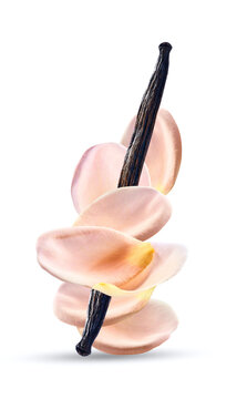 Rose petals with vanilla slick in closeup
