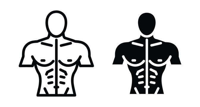 Male torso muscle icon set showing chest and abdominal anatomy for fitness health bodybuilding gym workout and medical illustration design