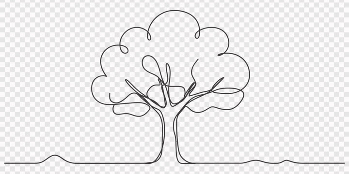Continuous one line drawing of tree on white background. Vector illustration, Continuous one line drawing green tree fertile on white background, trees for decorating gardens, park, forest.