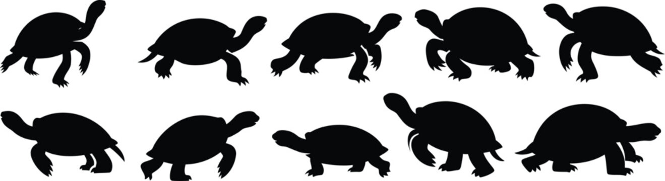 Collection of turtle silhouettes in various walking poses, black reptile vector set isolated on light background