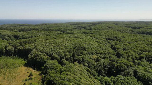 Aerial View of Jasmund National Park Forest and Baltic Sea on R&uuml;gen Island, Germany