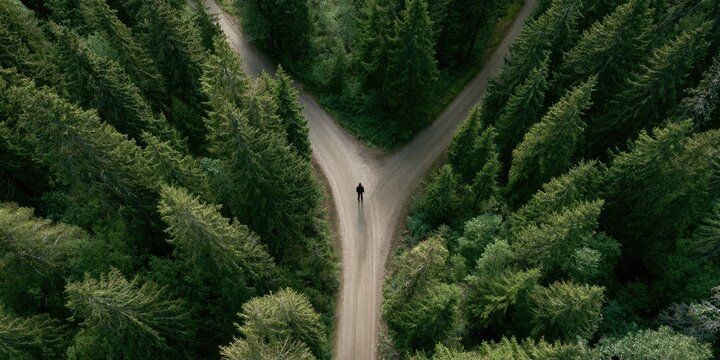 Aerial view of lone figure at a fork in a forest path