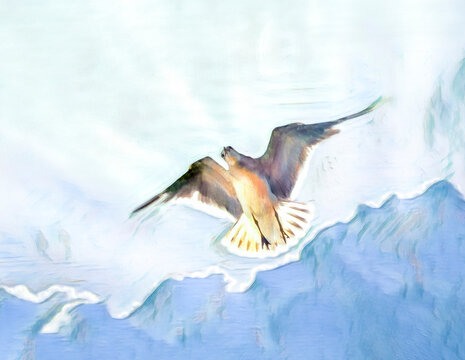 Gull hovering in sky above with sun rays and clouds behind. digital photo art
