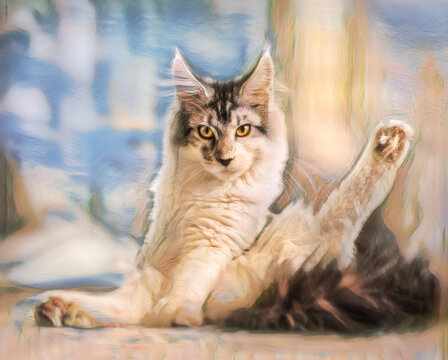 Six month old juvenile female Maine Coon Cat in an embarrasing position, digital photo art