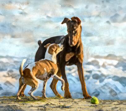 Terrier and surprised Doberman dog play on seashore