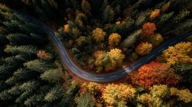 Autumn landscape captured by drone, featuring a curvy forest road surrounded by colorful fall foliage and natural scenery.