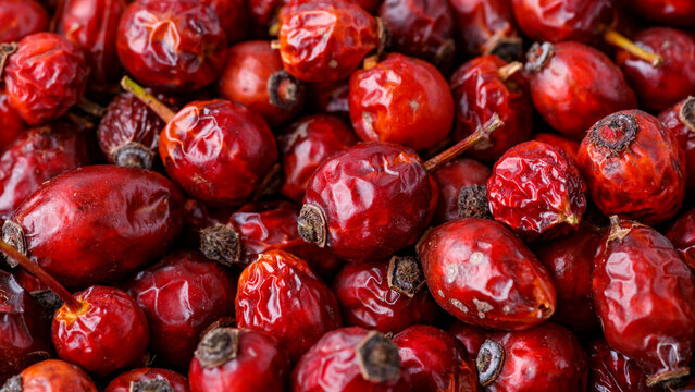 Background: dried rose hips. Freshly picked dried rose hips. Wild rose. Rosehip tea is rich in vitamins and is used as a restorative.