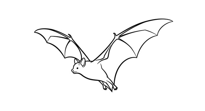 Minimalist Black and White Flying Bat Line Art Illustration Isolated on Plain Background for Halloween and Nature Design Projects