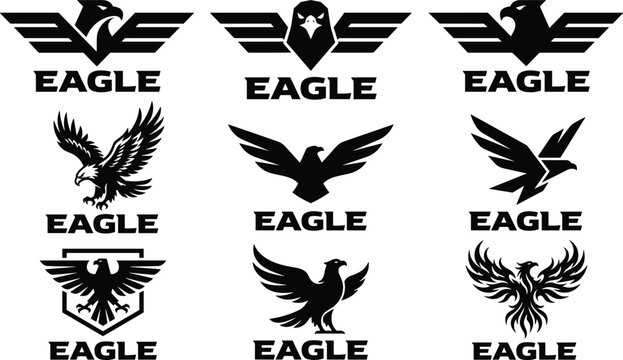 Eagle logo silhouettes, geometric bird icons, mascot badges, predator symbols, hawk wings, modern corporate branding emblems, falcon graphic signs
