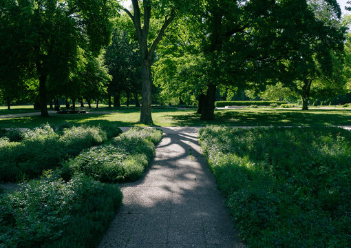 A paved footpath leading through lush green undergrowth and meadow toward shady trees in a summer park