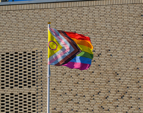 Progress pride flag waving outside modern brick public building.