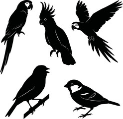 Fototapeta premium Black bird silhouettes, parrot and cockatoo vector icons, birdwatching illustrations, wildlife graphics