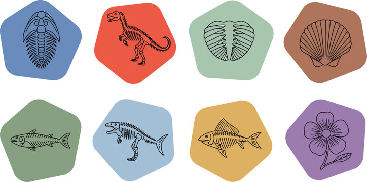 A set of eight fossil illustrations arranged in colorful pentagonal shapes on white background