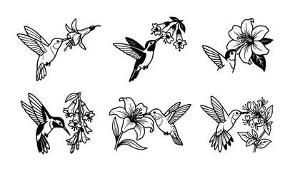 Hummingbird Flower Vector Illustrations, Delicate Bird Nature Graphics, Elegant Floral Art Set © Nusrat