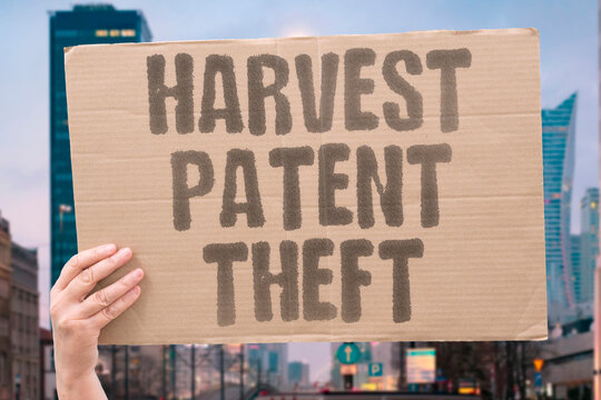 "Harvest patent theft" Agricultural yield claimed by corporation. SEED. PATENT. CORPORATION. THEFT. HARVEST.