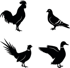 Fototapeta premium Black bird silhouettes, chicken, rooster, pigeon, fowl icons, 4 animal graphics
