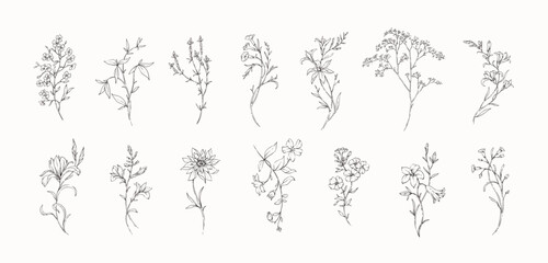 Obraz na płótnie Canvas Set of whimsical drawing various flowers and leaves. Luxury floral collection for wedding invitation, wallpaper art or save the date card. Botanical vector