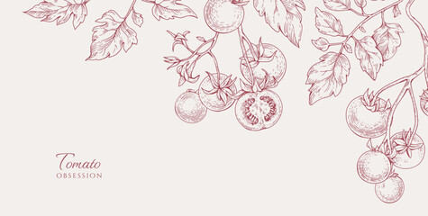 Obraz premium Background with tomatoes brunch and leaves. Detailed hand drawn ink illustration for template layout design, brochure or cover for food card