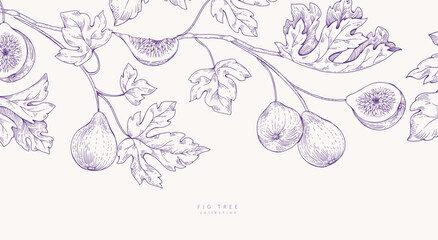 Fototapeta na wymiar Background with fig tree brunch and leaves. Detailed hand drawn ink illustration for template layout design, brochure or cover for food card