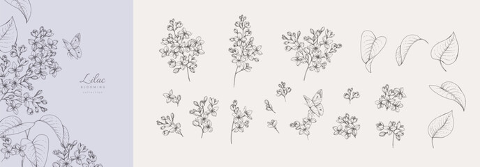 Obraz na płótnie Canvas Set of blooming lilac flowers and brunch. Spring Detailed hand drawn ink illustration with botanic floral elements for Mothers Day invitation or wedding save the date