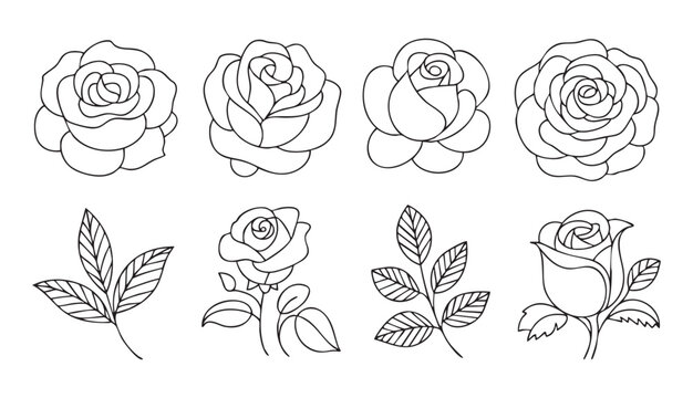 Hand drawn roses and leaves for design on transparent background vector art.