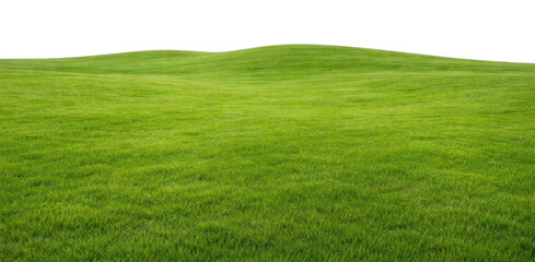 Obraz premium PNG Lush green landscape horizon